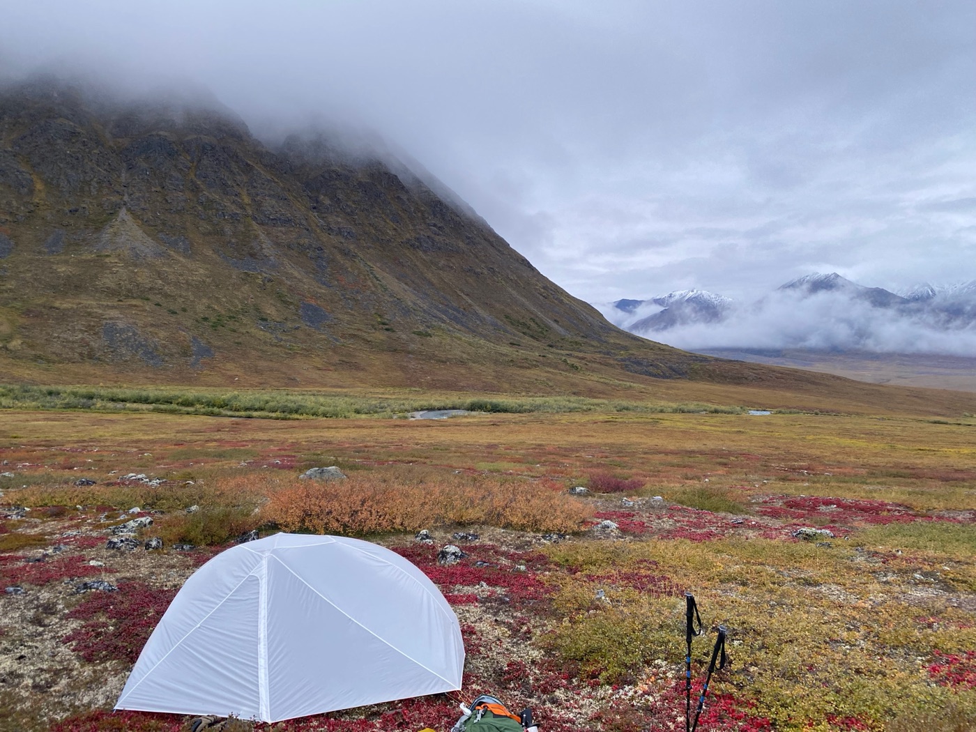 A small backpacking tent on autumn tundra beneath cloud-covered mountains in Gates of the Arctic National Park.